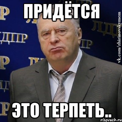 Придётся это терпеть.., Мем Хватит это терпеть (Жириновский)