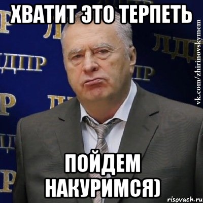 хватит это терпеть пойдем накуримся), Мем Хватит это терпеть (Жириновский)