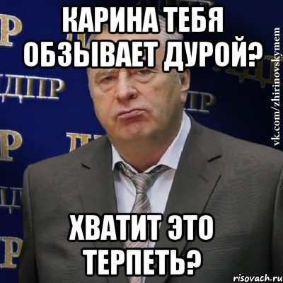 Карина тебя обзывает дурой? Хватит это терпеть?, Мем Хватит это терпеть (Жириновский)