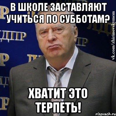 В школе заставляют учиться по субботам? Хватит это терпеть!, Мем Хватит это терпеть (Жириновский)