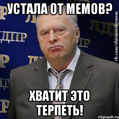 Устала от мемов? Хватит это терпеть!, Мем Хватит это терпеть (Жириновский)