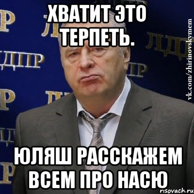 Хватит это терпеть. Юляш расскажем всем про насю, Мем Хватит это терпеть (Жириновский)