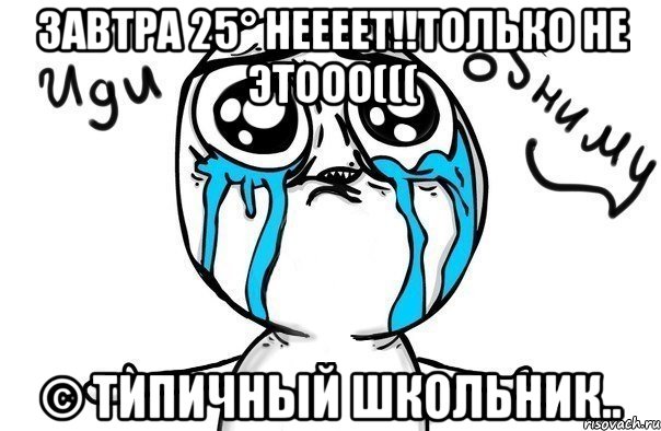 Завтра 25° неееет!!только не этооо((( © типичный школьник.., Мем Иди обниму