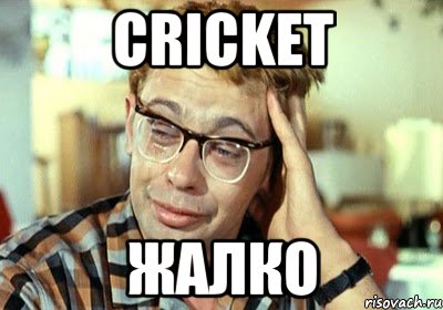 CRICKET ЖАЛКО, Мем Шурик (птичку жалко)