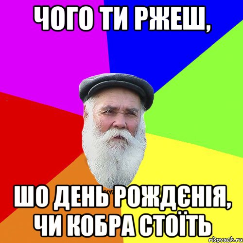 Чого ти ржеш, Шо день рождєнія, чи кобра стоїть