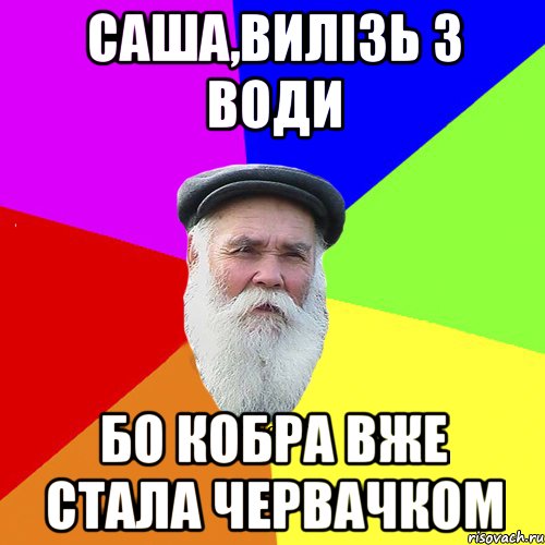 саша,вилізь з води бо кобра вже стала червачком