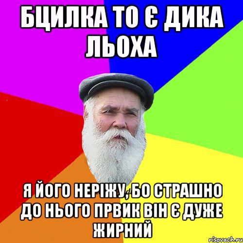 бцилка то є дика льоха я його неріжу, бо страшно до нього првик Він є дуже жирний