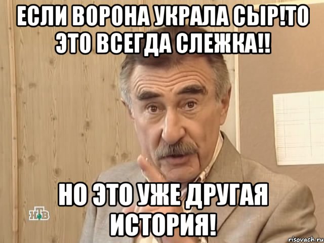 если ворона украла сыр!то это всегда слежка!! но это уже другая история!, Мем Каневский (Но это уже совсем другая история)