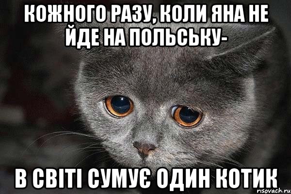 Кожного разу, коли Яна не йде на польську- в світі сумує один котик, Мем  Грустный кот