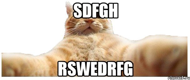 sdfgh rswedrfg, Мем   Кэтсвилл