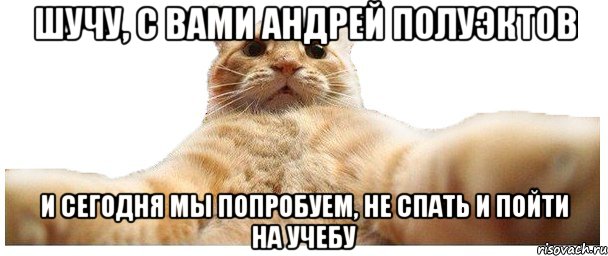 Шучу, с вами Андрей Полуэктов И сегодня мы попробуем, не спать и пойти на учебу, Мем   Кэтсвилл