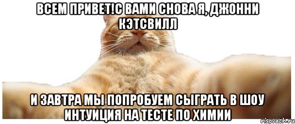 Всем привет!С вами снова я, Джонни Кэтсвилл и завтра мы попробуем сыграть в шоу Интуиция на тесте по химии, Мем   Кэтсвилл