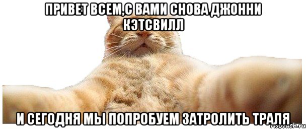 Привет всем,с вами снова Джонни Кэтсвилл И сегодня мы попробуем затролить траля, Мем   Кэтсвилл