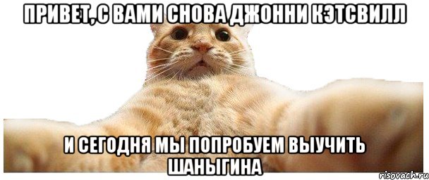 Привет, с вами снова Джонни Кэтсвилл И сегодня мы попробуем выучить Шаныгина, Мем   Кэтсвилл