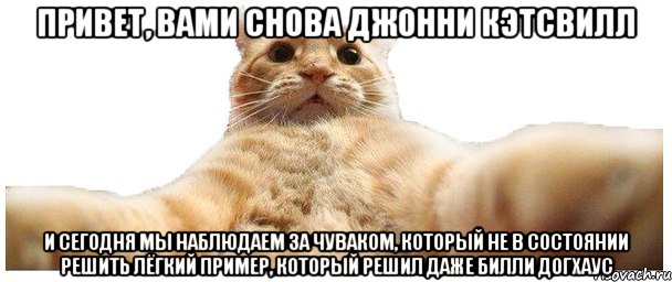 Привет, вами снова Джонни Кэтсвилл И сегодня мы наблюдаем за чуваком, который не в состоянии решить лёгкий пример, который решил даже Билли Догхаус, Мем   Кэтсвилл