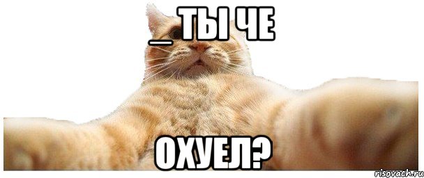 _ ты че охуел?, Мем   Кэтсвилл