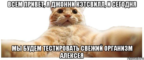 Всем привет, я Джонни Кэтсвилл, и сегодня мы будем тестировать свежий организм Алексея, Мем   Кэтсвилл