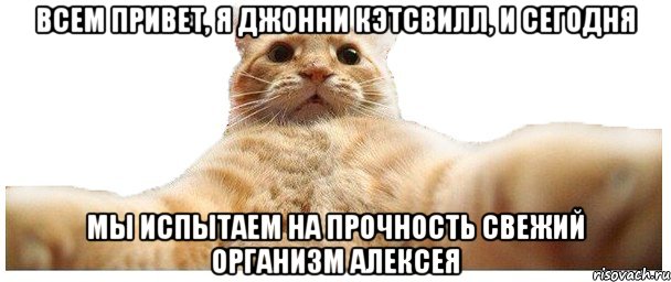 Всем привет, Я Джонни Кэтсвилл, и сегодня мы испытаем на прочность свежий организм Алексея