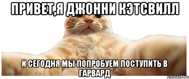 ПРИВЕТ,Я ДЖОННИ КЭТСВИЛЛ И СЕГОДНЯ МЫ ПОПРОБУЕМ ПОСТУПИТЬ В ГАРВАРД, Мем   Кэтсвилл