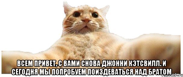  Всем привет, с вами снова Джонни Кэтсвилл. И сегодня мы попробуем поиздеваться над братом, Мем   Кэтсвилл