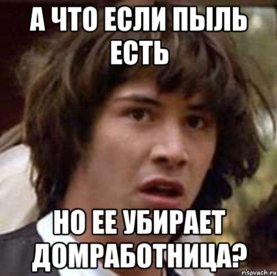 а что если пыль есть но ее убирает домработница?, Мем А что если (Киану Ривз)