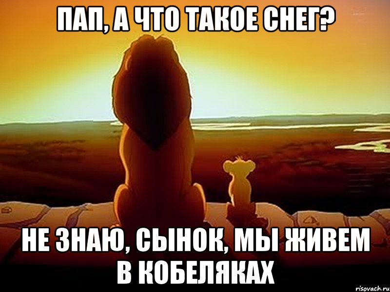 пап, а что такое снег? не знаю, сынок, мы живем в Кобеляках, Мем  король лев