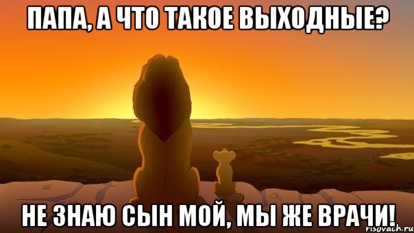 Папа, а что такое выходные? не знаю сын мой, мы же врачи!, Мем  король лев