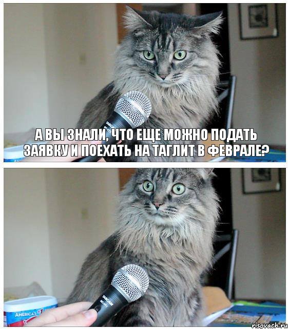 А вы знали, что еще можно подать заявку и поехать на Таглит в феврале? , Комикс  кот с микрофоном