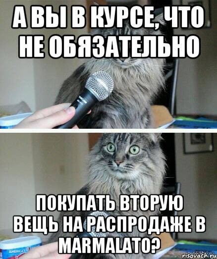 А вы в курсе, что не обязательно покупать вторую вещь на распродаже в Marmalato?, Комикс  кот с микрофоном