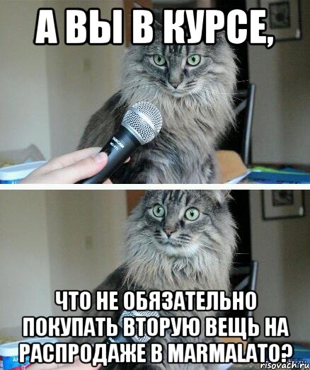 А вы в курсе, что не обязательно покупать вторую вещь на распродаже в Marmalato?, Комикс  кот с микрофоном