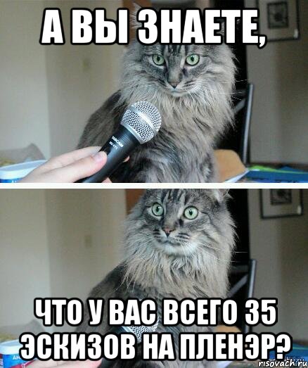 а вы знаете, что у вас всего 35 эскизов на пленэр?, Комикс  кот с микрофоном