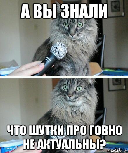 А вы знали что шутки про говно не актуальны?, Комикс  кот с микрофоном