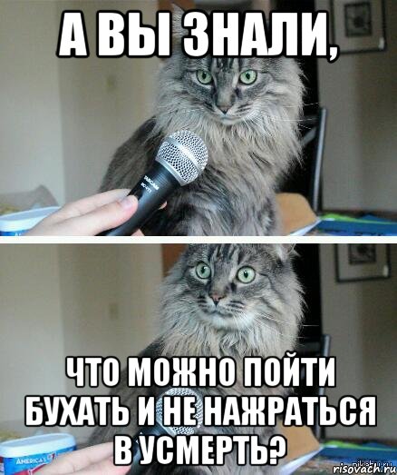 А вы знали, Что можно пойти бухать и не нажраться в усмерть?, Комикс  кот с микрофоном