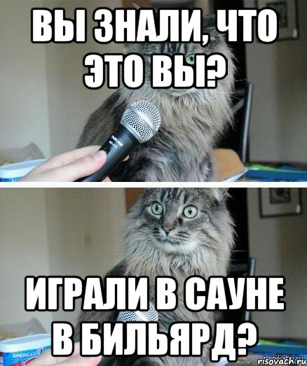 Вы знали, что это вы? играли в сауне в бильярд?, Комикс  кот с микрофоном