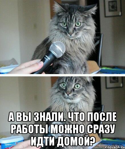  А вы знали. что после работы можно сразу идти домой?, Комикс  кот с микрофоном