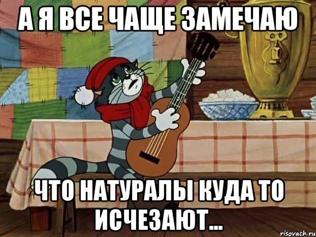 А я все чаще замечаю что натуралы куда то исчезают..., Мем Кот Матроскин с гитарой