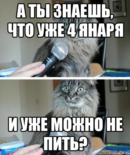 а ты знаешь, что уже 4 янаря и уже можно не пить?, Комикс  кот с микрофоном