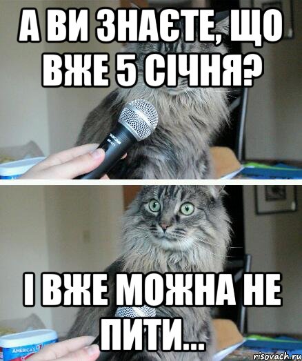 А ви знаєте, що вже 5 січня? і вже можна не пити..., Комикс  кот с микрофоном