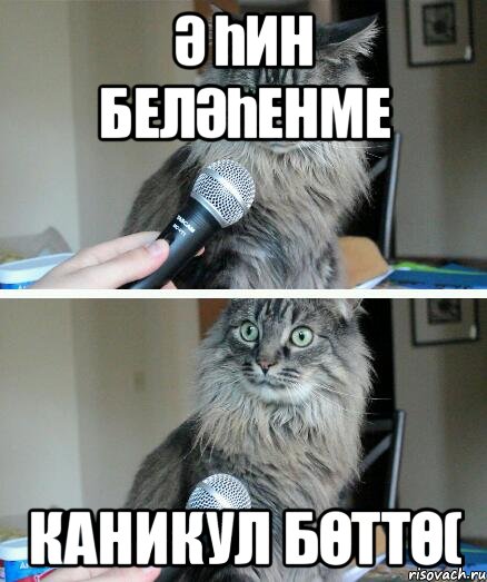 Ә һин беләһенме Каникул бөттө(, Комикс  кот с микрофоном