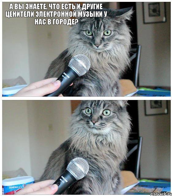 а вы знаете, что есть и другие ценители электронной музыки у нас в городе?, Комикс  кот с микрофоном