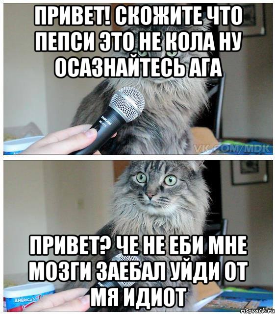 привет! Скожите что пепси это не кола ну осазнайтесь ага привет? Че не еби мне мозги заебал уйди от мя идиот, Комикс  кот с микрофоном