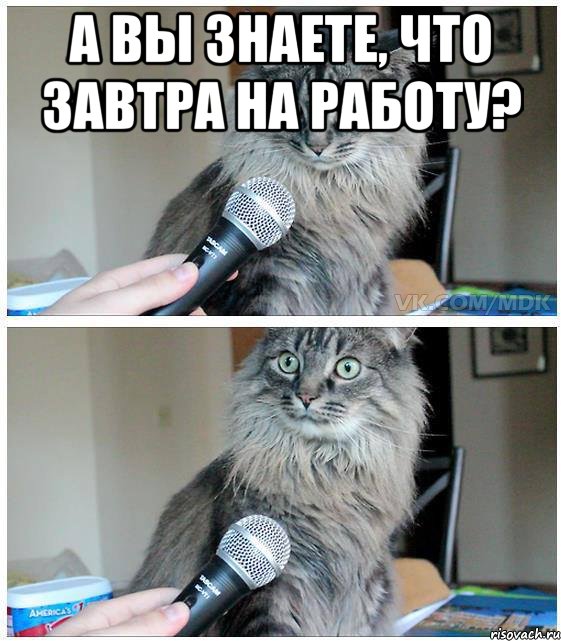 А вы знаете, что завтра на работу? , Комикс  кот с микрофоном