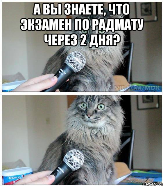 А вы знаете, что экзамен по радмату через 2 дня? , Комикс  кот с микрофоном