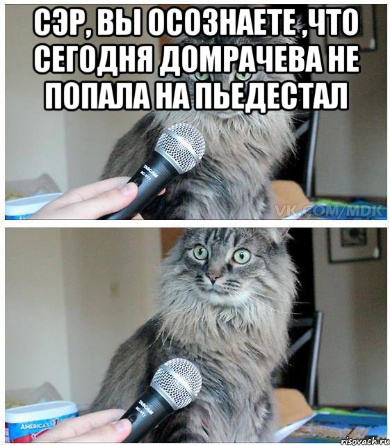 Сэр, вы осознаете ,что сегодня Домрачева не попала на пьедестал , Комикс  кот с микрофоном