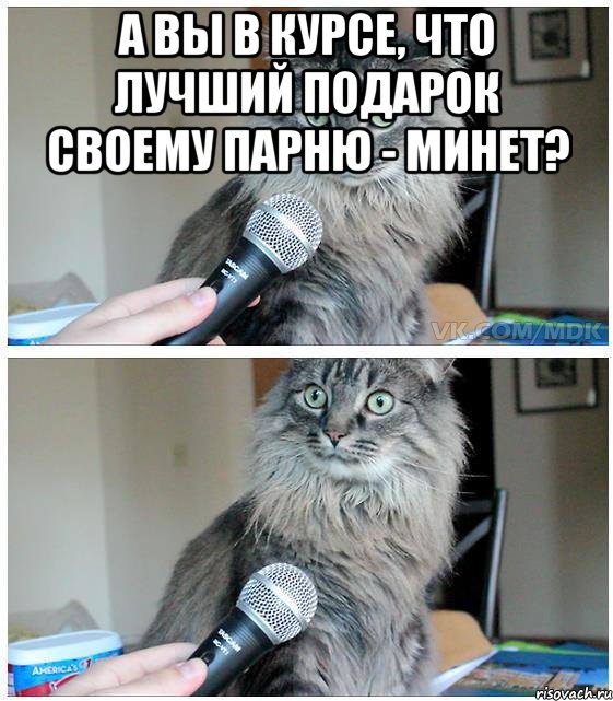 А вы в курсе, что лучший подарок своему парню - минет? , Комикс  кот с микрофоном