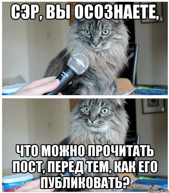 Сэр, вы осознаете, Что можно прочитать пост, перед тем, как его публиковать?, Комикс  кот с микрофоном