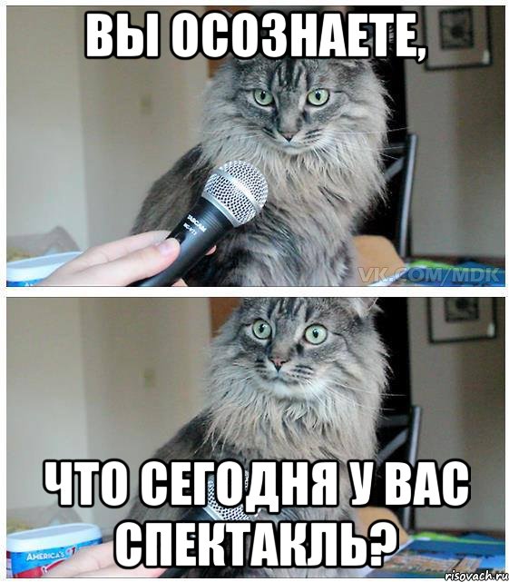 Вы осознаете, что сегодня у вас спектакль?, Комикс  кот с микрофоном