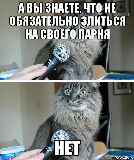 а вы знаете, что не обязательно злиться на своего парня нет, Комикс  кот с микрофоном