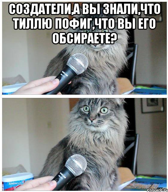 Создатели,а вы знали,что Тиллю пофиг,что вы его обсираете? , Комикс  кот с микрофоном