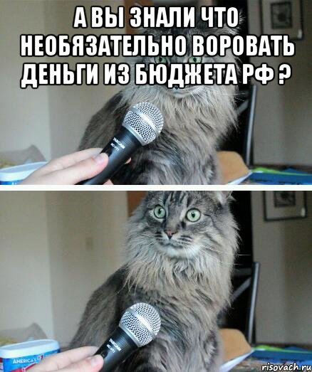 А вы знали что необязательно воровать деньги из бюджета РФ ? , Комикс  кот с микрофоном